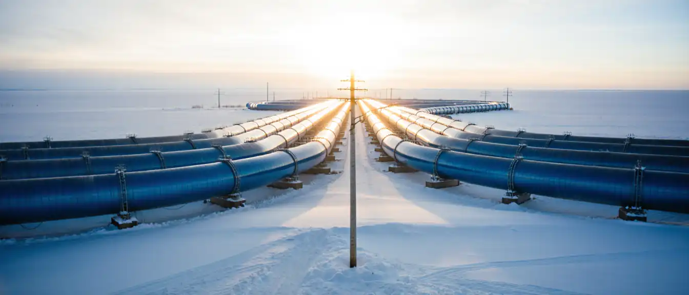 Новые горизонты топливной программы: «Газпром» планирует расширить охват газом до 2030 года