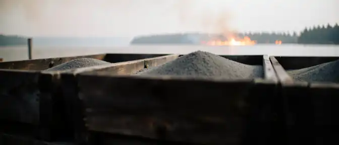 Пепел над Аркашоном: как лесные пожары во Франции подрывают экономику устричного промысла