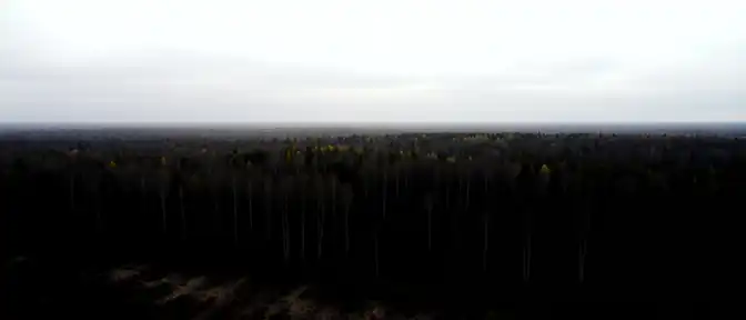 Улучшение видимости в красноярской тайге может способствовать обнаружению пропавшей семьи Усольцевых этой осенью